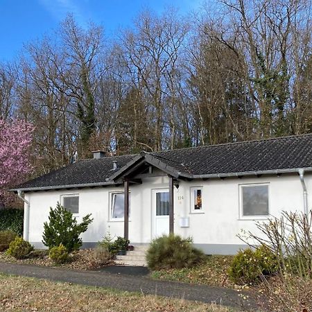 'T Boszicht Villa Gerolstein Bagian luar foto